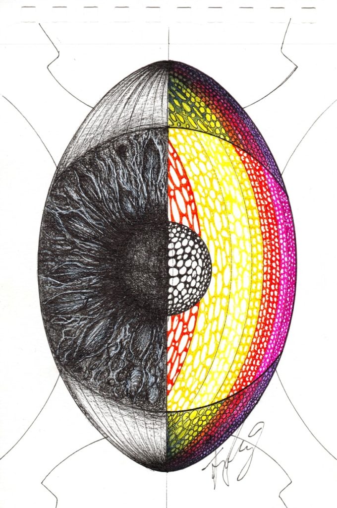 V
